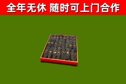 定州回收海参